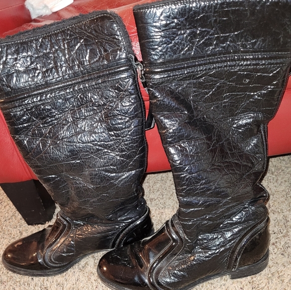 Meet your Posher, Sammy - Picture 5 of 12